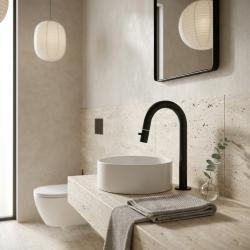 Aquanello Eterna Torneira alta para fonte preto mate água fria ET4002-10